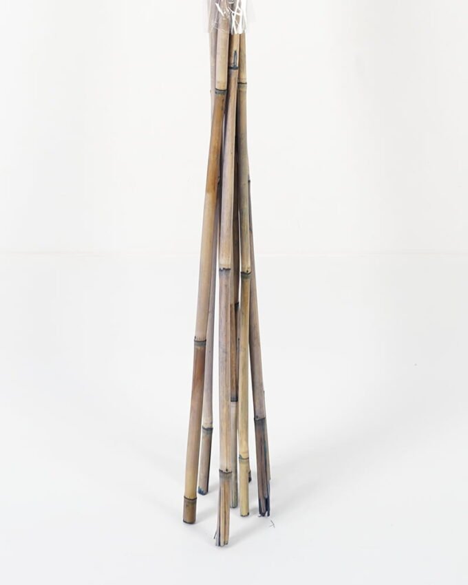 Dried Flowers 7*155CM Big reed rod bush*10 GS-56619005CONTI Dried Flowers YeahFlower is one of Chinese leading OEM manufacturers and exporters , supplying the silk flowers, wholesale artificial trees