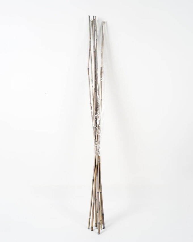 Dried Flowers 7*155CM Big reed rod bush*10 GS-56619005CONTI Dried Flowers YeahFlower is one of Chinese leading OEM manufacturers and exporters , supplying the silk flowers, wholesale artificial trees