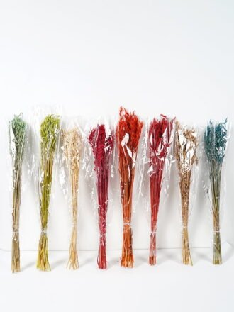 Dried Flowers 17*83CM Reed*8 GS-56620017CONTI Dried Flowers 3,000+ sqm showroom with thousands of artificial flowers, plants & trees ready for global sourcing.