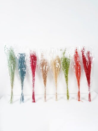 Dried Flowers 17*76cm Dried leaves GS-56619012CONTI Dried Flowers 3,000+ sqm showroom with thousands of artificial flowers, plants & trees ready for global sourcing.