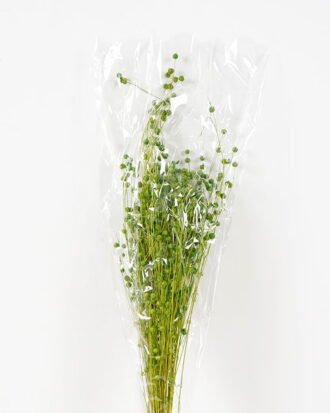Dried Flowers 15*65CM LINUM USITATISSIMUM GS-56619018CONTI Dried Flowers YeahFlower is one of Chinese leading OEM manufacturers and exporters , supplying the silk flowers, wholesale artificial trees