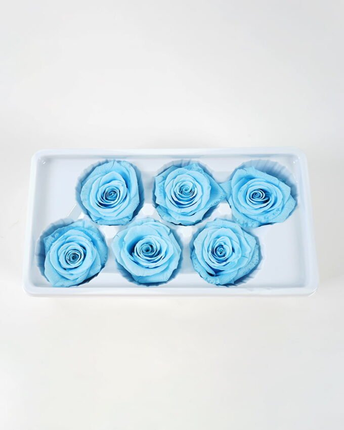 Dried Flowers 23.5*12.7*8CM Preserved Flower-A（5-6CM/PC,6PC/SET) GS-56621024A-B1 Dried Flowers YeahFlower is one of Chinese leading OEM manufacturers and exporters , supplying the silk flowers, wholesale artificial trees