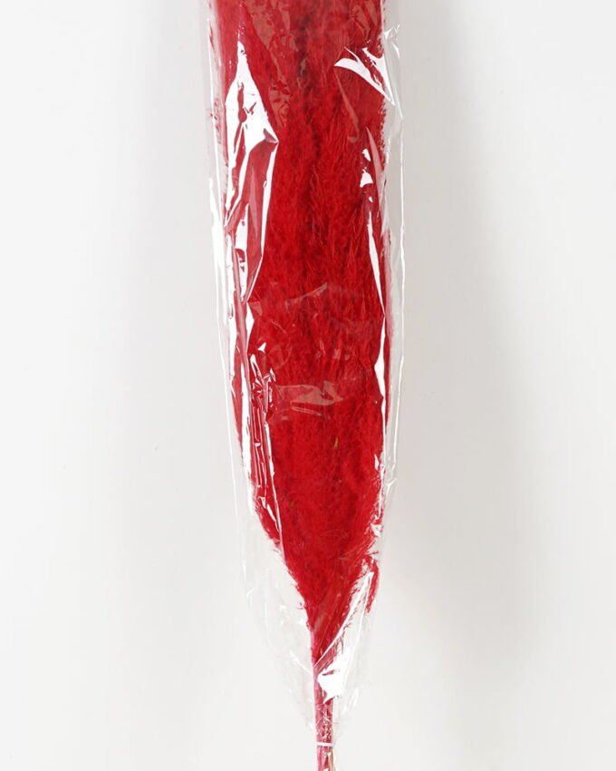 Dried Flowers 24*120CM Reed，3pc/bag(REMARK:standard:pcs not weight) GS-56619057CONTI Dried Flowers YeahFlower is one of Chinese leading OEM manufacturers and exporters , supplying the silk flowers, wholesale artificial trees