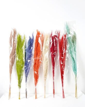 Dried Flowers 17*110CM Reed,3pc/bag, H:110cm/pc(REMARK :standard:pcs not weight) GS-56620104CONTI Dried Flowers YeahFlower is one of Chinese leading OEM manufacturers and exporters , supplying the silk flowers, wholesale artificial trees