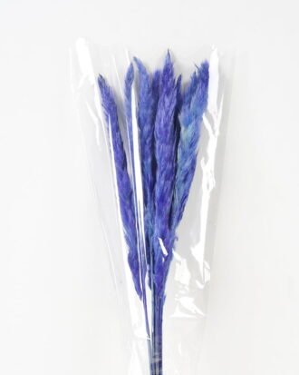 Dried Flowers 17*83CM Reed*8 GS-56620017CONTI Dried Flowers YeahFlower is one of Chinese leading OEM manufacturers and exporters , supplying the silk flowers, wholesale artificial trees