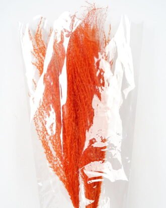 Dried Flowers 11*97cm Reed(8pcs/bag, H:90-100cm/pc) GS-56620015CONTI Single Flowers YeahFlower is one of Chinese leading OEM manufacturers and exporters , supplying the silk flowers, wholesale artificial trees