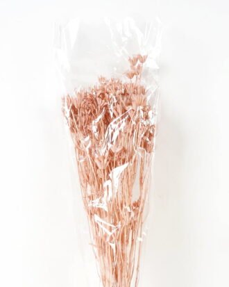 Dried Flowers 13*68CM SORBARIA SORBIFOLIA GS-56619041CONTI Dried Flowers YeahFlower is one of Chinese leading OEM manufacturers and exporters , supplying the silk flowers, wholesale artificial trees