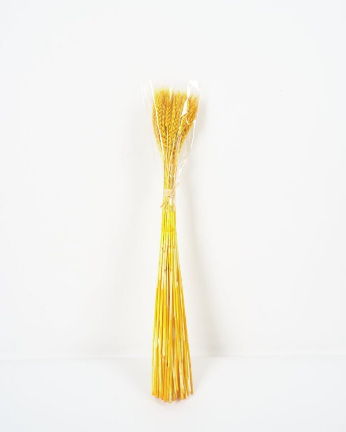 Dried Flowers 8*60CM wheat 70g(70g/bouquet, H:60CM) GS-33521001-Y1 Bouquet YeahFlower is one of Chinese leading OEM manufacturers and exporters , supplying the silk flowers, wholesale artificial trees