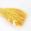 Dried Flowers 8*60CM wheat 70g(70g/bouquet, H:60CM) GS-33521001-Y1 Bouquet YeahFlower is one of Chinese leading OEM manufacturers and exporters , supplying the silk flowers, wholesale artificial trees
