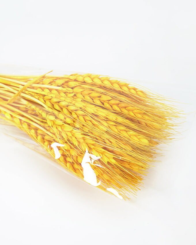 Dried Flowers 8*60CM wheat 70g(70g/bouquet, H:60CM) GS-33521001-Y1 Bouquet YeahFlower is one of Chinese leading OEM manufacturers and exporters , supplying the silk flowers, wholesale artificial trees