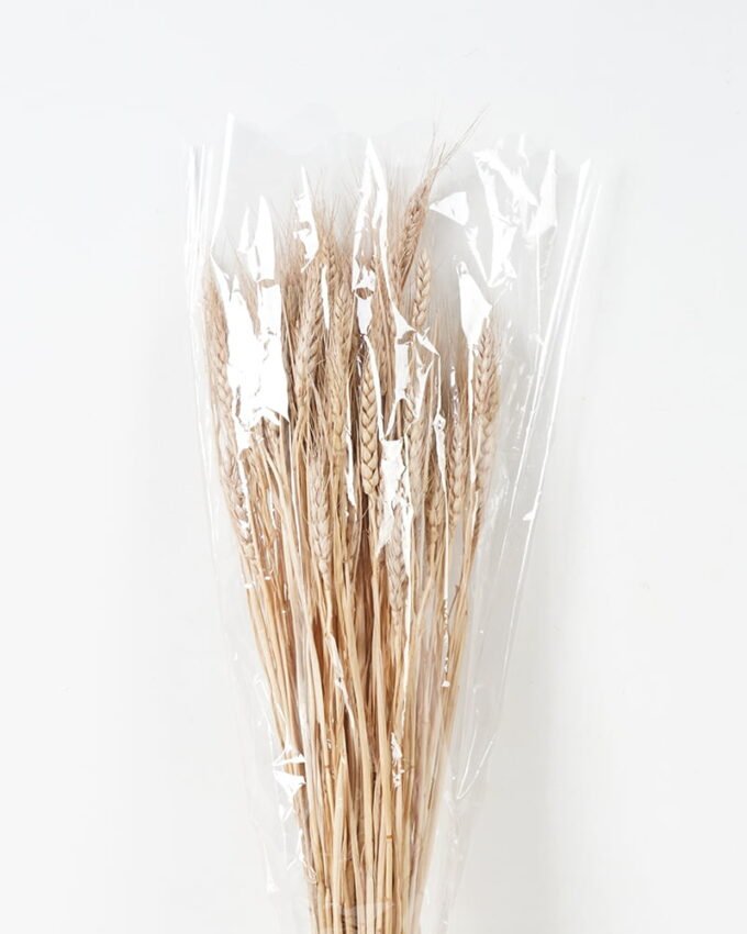 Dried Flowers 10*68CM wheat GS-56619009CONTI Dried Flowers YeahFlower is one of Chinese leading OEM manufacturers and exporters , supplying the silk flowers, wholesale artificial trees