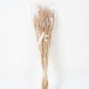 Dried Flowers 10*68CM wheat GS-56619009CONTI Dried Flowers YeahFlower is one of Chinese leading OEM manufacturers and exporters , supplying the silk flowers, wholesale artificial trees
