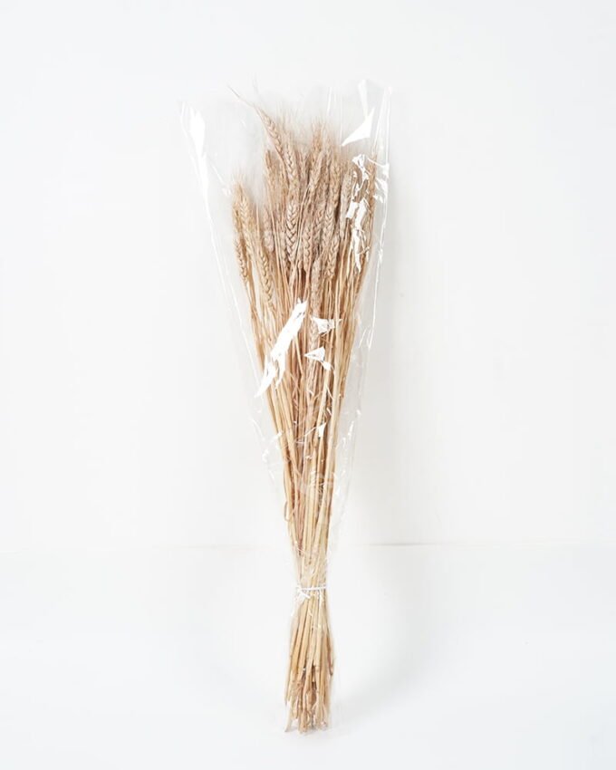 Dried Flowers 10*68CM wheat GS-56619009CONTI Dried Flowers YeahFlower is one of Chinese leading OEM manufacturers and exporters , supplying the silk flowers, wholesale artificial trees