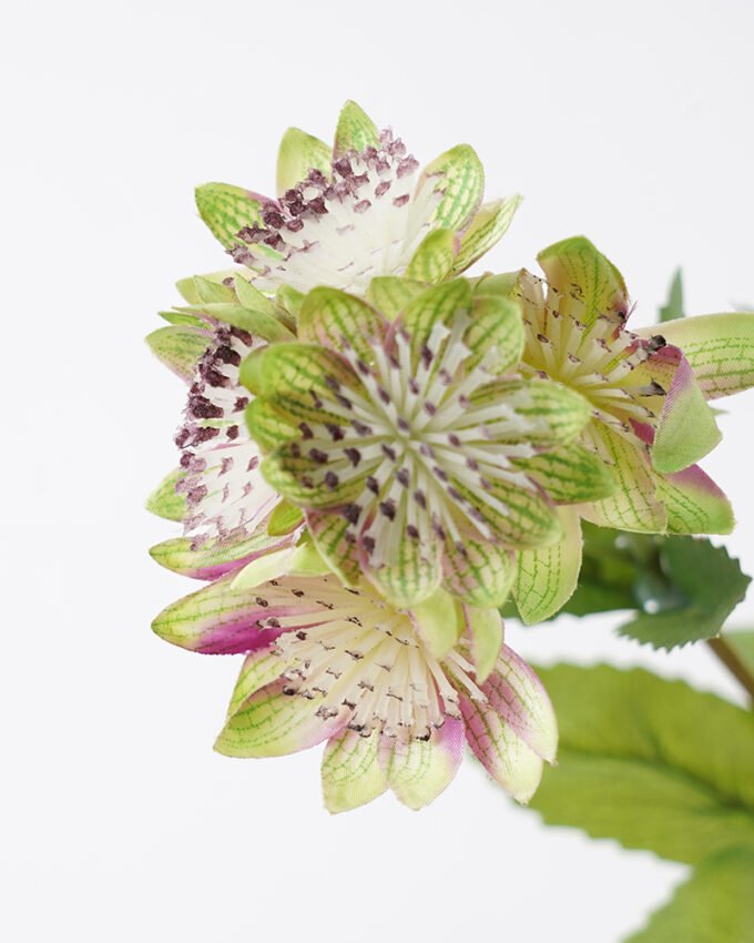 Artificial Flower 15*75 CM Chinese cymbidium Faux flowers GS-64721002-G1 Single Flowers YeahFlower is one of Chinese leading OEM manufacturers and exporters , supplying the silk flowers, wholesale artificial trees