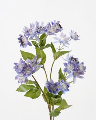 Artificial Flower 15*75 CM Chinese cymbidium silk flowers GS-64721002-B1 Single Flowers YeahFlower is one of Chinese leading OEM manufacturers and exporters , supplying the silk flowers, wholesale artificial trees