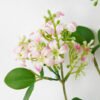 Artificial Flower 20*76CM Artificial flower spray fake flowers GS-14521028 Flowers Bush 3,000+ sqm showroom with thousands of artificial flowers, plants & trees ready for global sourcing.