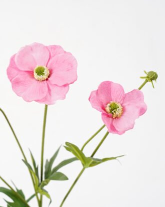 Artificial Flower 13*47CM Begonia spray*5 silk flowers GS-26221009-R1 Flowers Bush YeahFlower is one of Chinese leading OEM manufacturers and exporters , supplying the silk flowers, wholesale artificial trees Artificial Flower 13*47CM Begonia spray*5 silk flowers GS-26221009-R1 Flowers Bush YeahFlower is one of Chinese leading OEM manufacturers and exporters , supplying the silk flowers, wholesale artificial trees