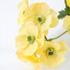 Artificial Flower Begonia spray fake flowers GS-26221010_6 Artificial Flower 21*84CM Begonia spray fake flowers GS-26221010 Flowers Bush YeahFlower is one of Chinese leading OEM manufacturers and exporters , supplying the silk flowers, wholesale artificial trees