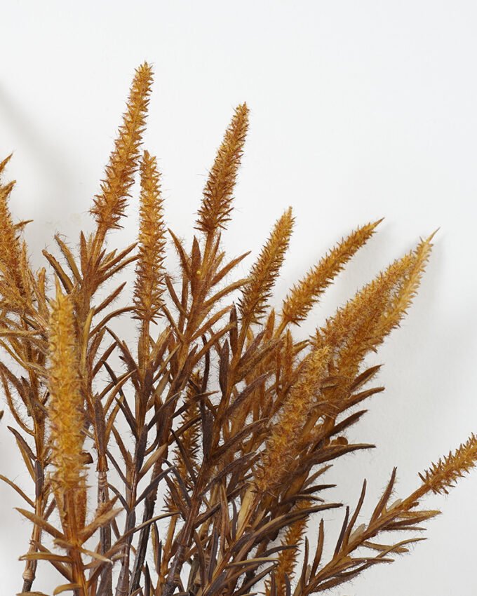 Artificial Flower Foxtail spray silk flowers GS-35121015-Y1_3 Artificial Flower 27*102CM Foxtail spray silk flowers GS-35121015-Y1 Single Flowers YeahFlower is one of Chinese leading OEM manufacturers and exporters , supplying the silk flowers, wholesale artificial trees