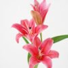 Artificial Flower 22*70CM Lily spray*3 Faux flowers GS-64421001 Single Flowers YeahFlower is one of Chinese leading OEM manufacturers and exporters , supplying the silk flowers, wholesale artificial trees