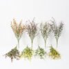 Artificial Flower 19*49CM Mini flowers bush*5 Faux flowers GS-26221005 Flowers Bush YeahFlower is one of Chinese leading OEM manufacturers and exporters , supplying the silk flowers, wholesale artificial trees