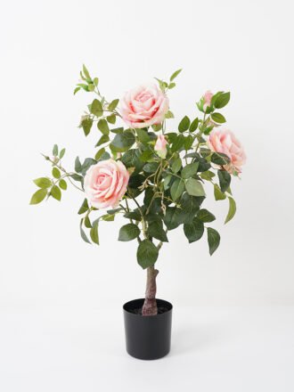 Artificial Plant 20*18*21CM Ficus in minami pot fake plant GS-14521037 Potted Flowers&Plants 3,000+ sqm showroom with thousands of artificial flowers, plants & trees ready for global sourcing.