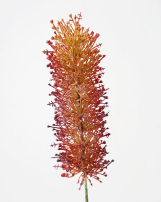 Artificial Flower 8*63cm SINGLE PLASTIC FLOWER silk flowers GS-15421023 Single Flowers YeahFlower is one of Chinese leading OEM manufacturers and exporters , supplying the silk flowers, wholesale artificial trees