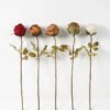 Artificial Flower 9*61cm SINGLE ROSE Faux flowers GS-15421036 Single Flowers YeahFlower is one of Chinese leading OEM manufacturers and exporters , supplying the silk flowers, wholesale artificial trees