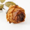 Artificial Flower 9*61cm SINGLE ROSE Faux flowers GS-15421036 Single Flowers YeahFlower is one of Chinese leading OEM manufacturers and exporters , supplying the silk flowers, wholesale artificial trees