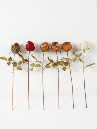 Artificial Flower 9*61cm SINGLE ROSE Faux flowers GS-15421036 Single Flowers 3,000+ sqm showroom with thousands of artificial flowers, plants & trees ready for global sourcing.