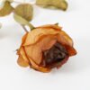 Artificial Flower 7*45cm SINGLE ROSE fake flowers GS-15421037 Single Flowers YeahFlower is one of Chinese leading OEM manufacturers and exporters , supplying the silk flowers, wholesale artificial trees