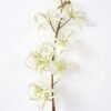 Artificial Flower 12*72CM Singel Orchidaceae Arachnis fake flowers GS-64721005 Single Flowers YeahFlower is one of Chinese leading OEM manufacturers and exporters , supplying the silk flowers, wholesale artificial trees
