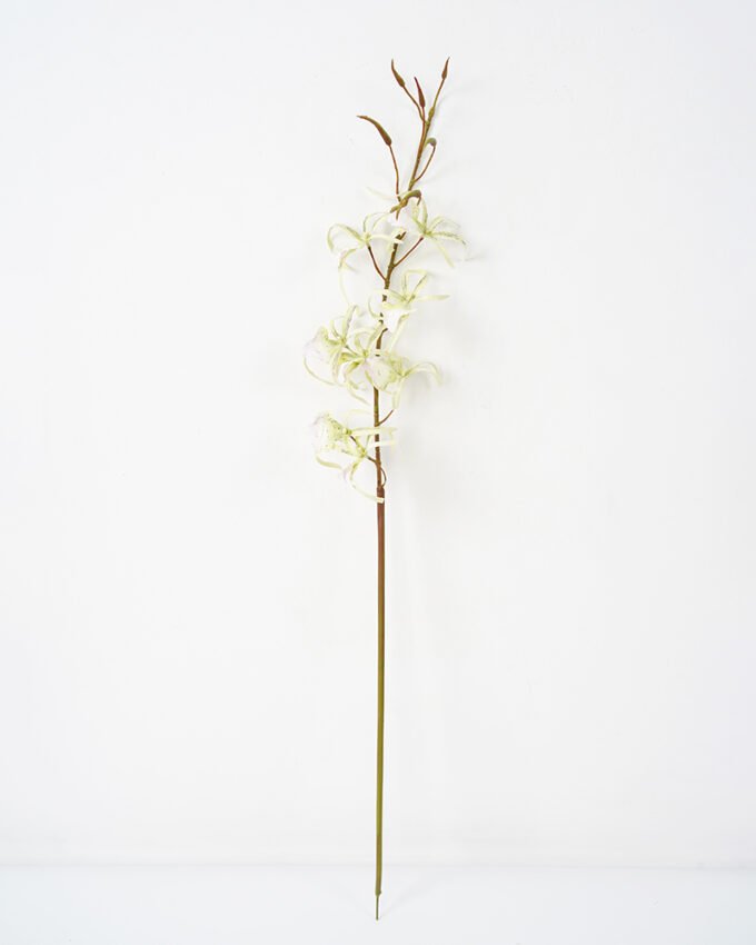 Artificial Flower 12*72CM Singel Orchidaceae Arachnis fake flowers GS-64721005 Single Flowers YeahFlower is one of Chinese leading OEM manufacturers and exporters , supplying the silk flowers, wholesale artificial trees
