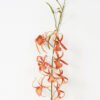 Artificial Flower 12*72CM Singel Orchidaceae Arachnis silk flowers GS-64721005-K2 Single Flowers YeahFlower is one of Chinese leading OEM manufacturers and exporters , supplying the silk flowers, wholesale artificial trees