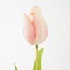 Artificial Flower Singel Tulip fake flowers GS-128J21007_5 Artificial Flower 4.5*55CM Singel Tulip fake flowers GS-128J21007 Single Flowers YeahFlower is one of Chinese leading OEM manufacturers and exporters , supplying the silk flowers, wholesale artificial trees