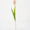 Artificial Flower Singel Tulip fake flowers GS-128J21007_6 Artificial Flower 4.5*55CM Singel Tulip fake flowers GS-128J21007 Single Flowers YeahFlower is one of Chinese leading OEM manufacturers and exporters , supplying the silk flowers, wholesale artificial trees