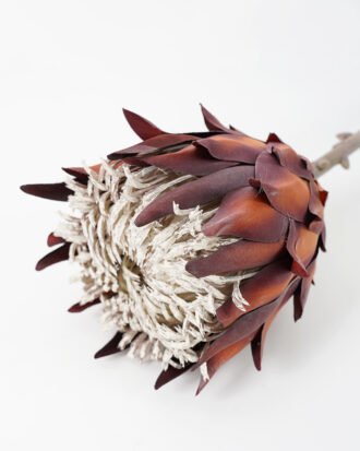 Artificial Flower 14*68CM Single Protea Faux flowers GS-14521039 Single Flowers YeahFlower is one of Chinese leading OEM manufacturers and exporters , supplying the silk flowers, wholesale artificial trees