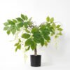 Artificial Flower Wisteria in pp pot fake plant GS-14521043_5 Artificial Flower 70*50*56CM Wisteria in pp pot fake plant GS-14521043 Potted Flowers&Plants YeahFlower is one of Chinese leading OEM manufacturers and exporters , supplying the silk flowers, wholesale artificial trees