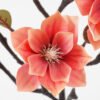 Artificial Flower mangnolia 6 Faux flowers GS-64721004_6 Artificial Flower 28*62CM mangnolia *6 Faux flowers GS-64721004 Single Flowers YeahFlower is one of Chinese leading OEM manufacturers and exporters , supplying the silk flowers, wholesale artificial trees