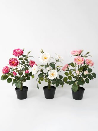 Artificial Flower 34*34*43CM  rose in pp pot fake flowers GS-14521041-R1 Potted Flowers&Plants 3,000+ sqm showroom with thousands of artificial flowers, plants & trees ready for global sourcing.