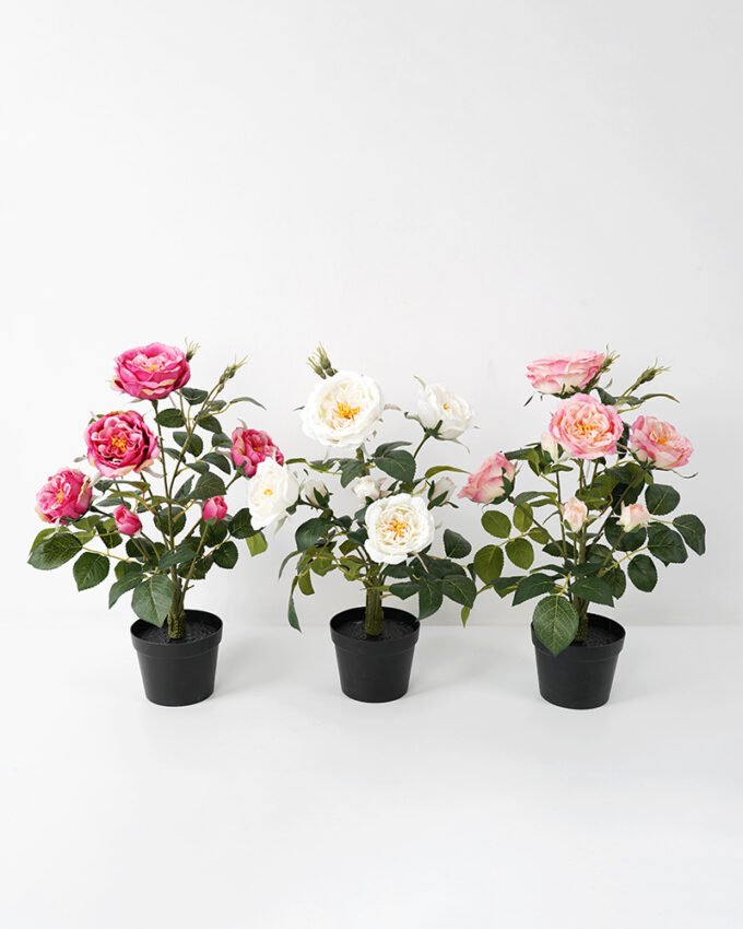 Artificial Flower 34*34*43CM  rose in pp pot Faux flowers GS-14521041 Potted Flowers&Plants YeahFlower is one of Chinese leading OEM manufacturers and exporters , supplying the silk flowers, wholesale artificial trees