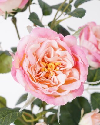 Artificial Flower 34*34*43CM  rose in pp pot Faux flowers GS-14521041 Potted Flowers&Plants YeahFlower is one of Chinese leading OEM manufacturers and exporters , supplying the silk flowers, wholesale artificial trees