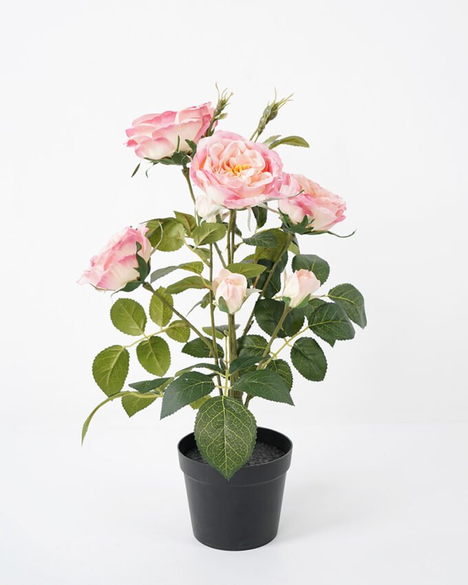 Artificial Flower 34*34*43CM  rose in pp pot Faux flowers GS-14521041 Potted Flowers&Plants YeahFlower is one of Chinese leading OEM manufacturers and exporters , supplying the silk flowers, wholesale artificial trees
