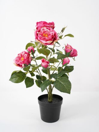 Artificial Flower 34*34*43CM  rose in pp pot Faux flowers GS-14521041 Potted Flowers&Plants 3,000+ sqm showroom with thousands of artificial flowers, plants & trees ready for global sourcing.