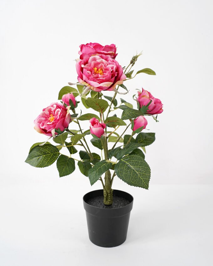 Artificial Flower 34*34*43CM  rose in pp pot fake flowers GS-14521041-R1 Potted Flowers&Plants YeahFlower is one of Chinese leading OEM manufacturers and exporters , supplying the silk flowers, wholesale artificial trees