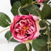 Artificial Flower 34*34*43CM  rose in pp pot fake flowers GS-14521041-R1 Potted Flowers&Plants YeahFlower is one of Chinese leading OEM manufacturers and exporters , supplying the silk flowers, wholesale artificial trees