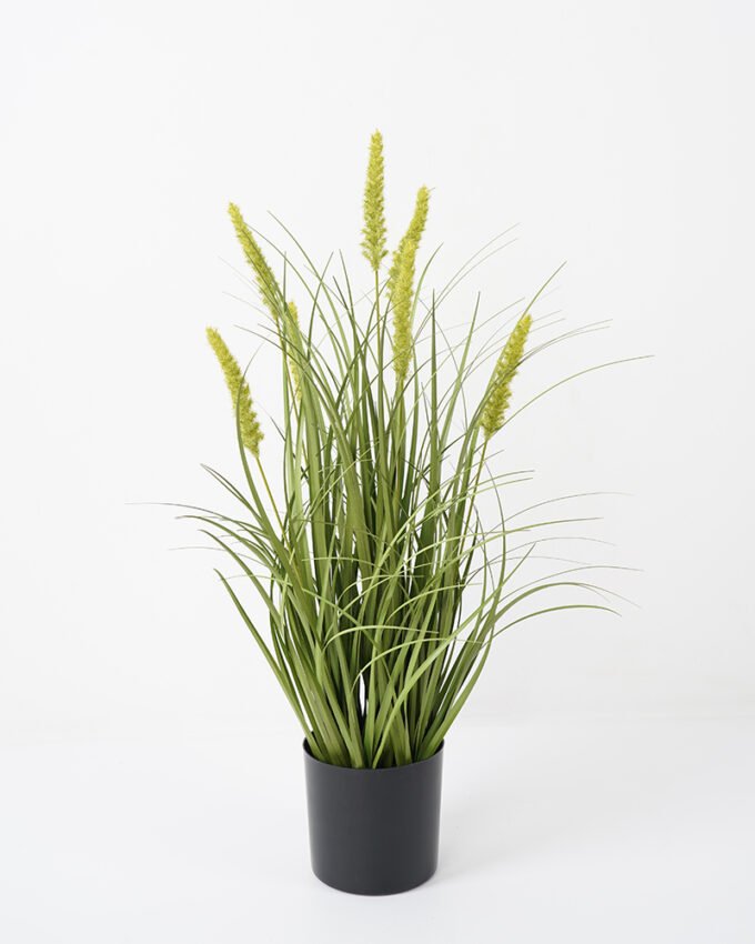 Artificial Grass 42*39*65CM Bristlegrass in pp pot fake plant GS-45721030 Potted Flowers&Plants YeahFlower is one of Chinese leading OEM manufacturers and exporters , supplying the silk flowers, wholesale artificial trees