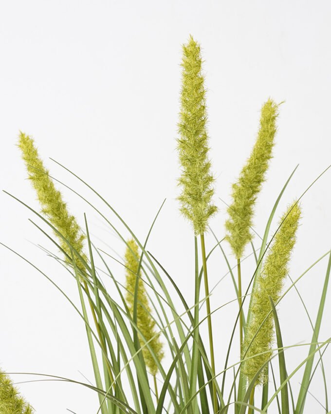 Artificial Grass 42*39*65CM Bristlegrass in pp pot fake plant GS-45721030 Potted Flowers&Plants YeahFlower is one of Chinese leading OEM manufacturers and exporters , supplying the silk flowers, wholesale artificial trees