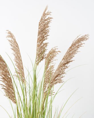 Artificial Grass 50*50*123CM Reeds*5 in pp pot fake plant GS-45721021 Potted Flowers&Plants YeahFlower is one of Chinese leading OEM manufacturers and exporters , supplying the silk flowers, wholesale artificial trees