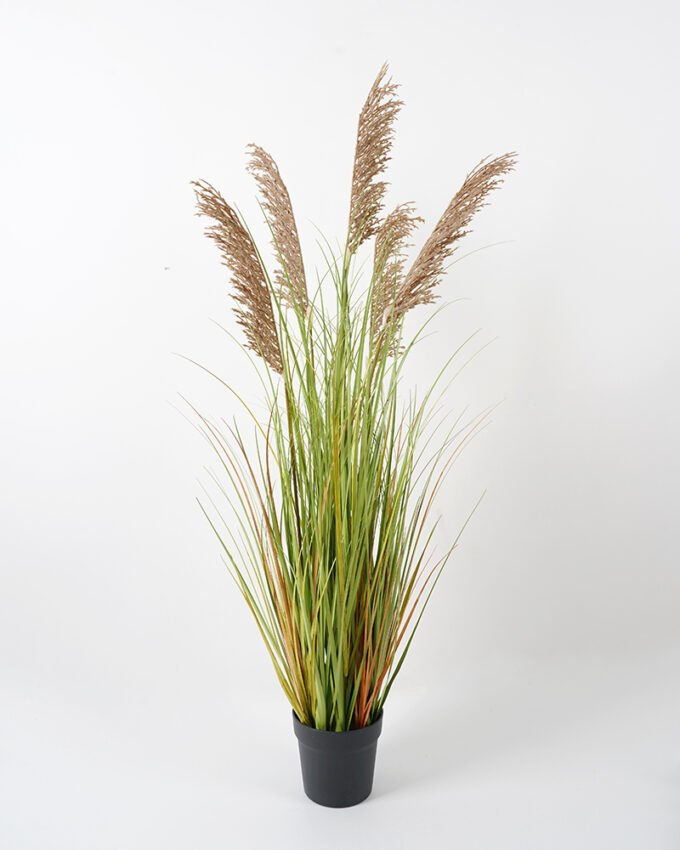 Artificial Grass 50*50*123CM Reeds*5 in pp pot fake plant GS-45721021 Potted Flowers&Plants YeahFlower is one of Chinese leading OEM manufacturers and exporters , supplying the silk flowers, wholesale artificial trees